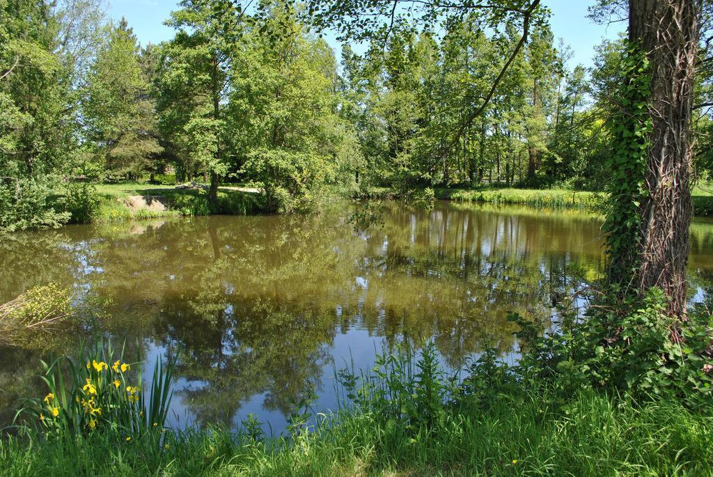 Bourg-d'Ire Le Manoir De La Vieille Douve Bed & Breakfast エクステリア 写真