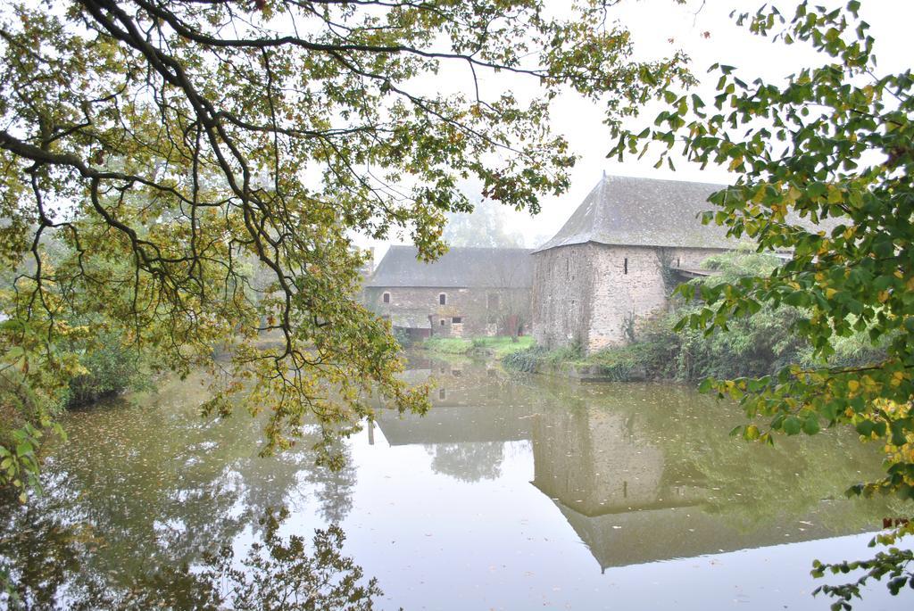 Bourg-d'Ire Le Manoir De La Vieille Douve Bed & Breakfast エクステリア 写真