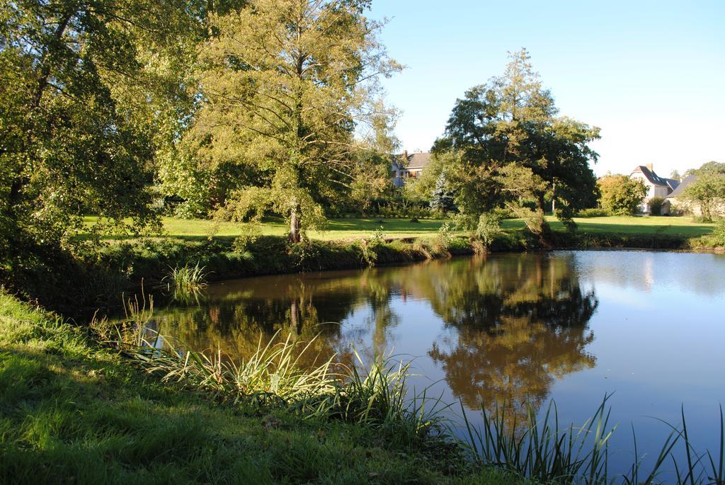 Bourg-d'Ire Le Manoir De La Vieille Douve Bed & Breakfast エクステリア 写真